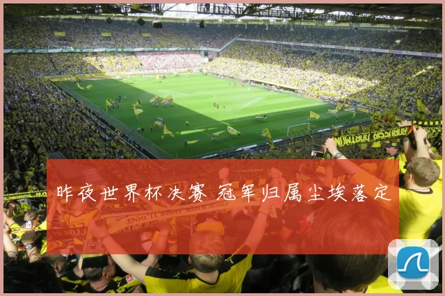 昨夜世界杯决赛 冠军归属尘埃落定