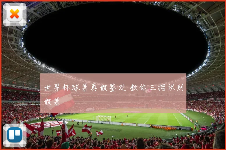 世界杯球票真假鉴定 教你三招识别假票