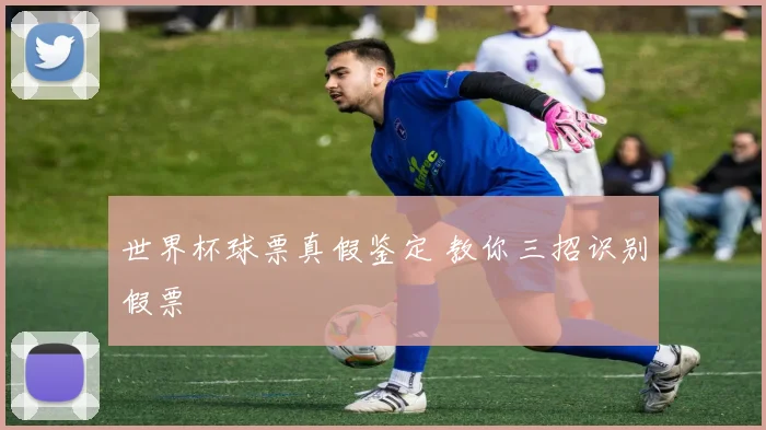 世界杯球票真假鉴定 教你三招识别假票