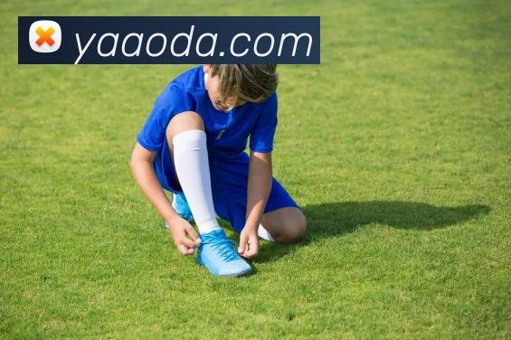 leyu乐鱼手机官网入口APP 封面图